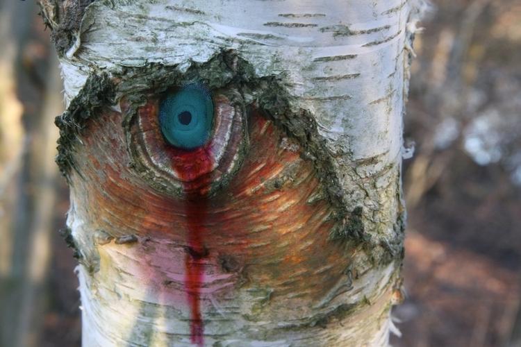 'Træfølelser'  er ugens foto på udstillingen Myplace. 