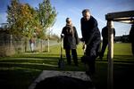 Jacques Rogge fylder en skovfuld jord i hullet rundt om et af fem nye træer. I alt skal der plantes 115 træer på Ydre Nørrebro, som er doneret af IOC. 