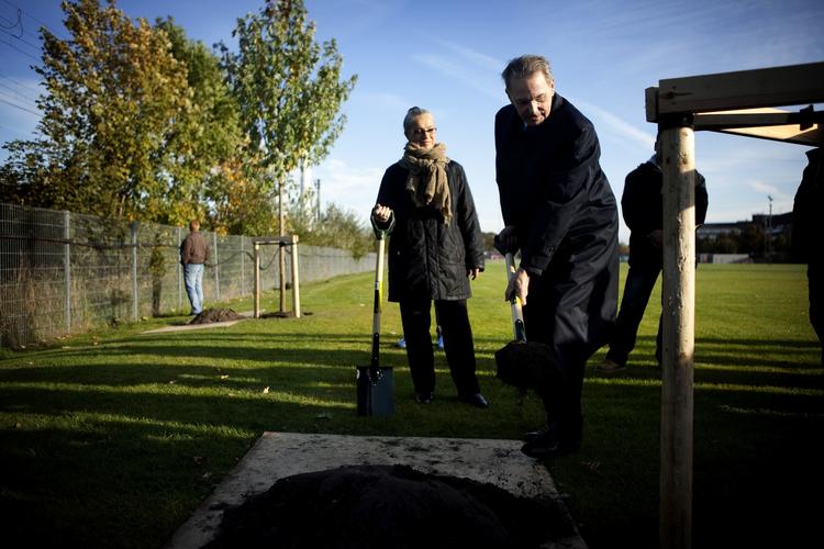 Jacques Rogge fylder en skovfuld jord i hullet rundt om et af fem nye træer. I alt skal der plantes 115 træer på Ydre Nørrebro, som er doneret af IOC. 