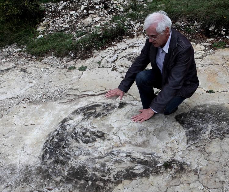 Geologen Patrice Landry står ved et af de gigantiske fodaftryk fra en dinosaur, som er blevet fundet i det østlige Frankrig. 