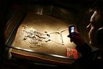 Resterne af et skelet fra vikingetiden fundet under Nordea Bank i Århus er inspirationen bag et nyt byvandringskoncept, hvor deltagerne ved hjælp af egen mobiltelefon hører historien om vikingen Hikuin, mens byen udforskes på kryds og tværs. Foto: Poul Iversen/Teater Katapult 