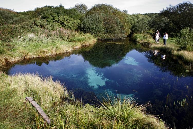 Et af stederne i naturkanonen er området ved Rold Skov, hvor man blandt andet finder Store Blåkilde, der er Danmarks største kilde med 80 liter vand per sekund. 