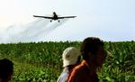 Et sprøjtefly spreder pesticider over en af Doles bananplantager. En svensk dokumentarfilm har fulgt en gruppe arbejdere, der er blevet syge af giften Nemagon. Arkivfoto: AP/WG Film