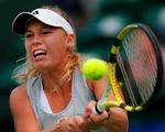 Semifinalen blev endestation for Caroline Woznaicki i Japan Open. 