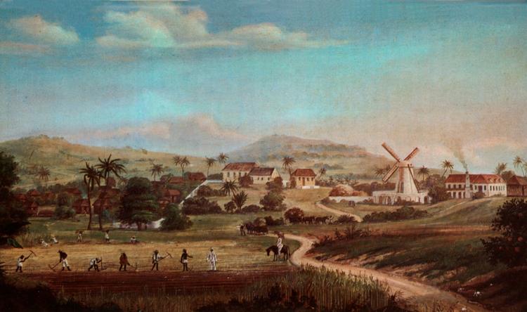Flere hundredtusinde slaver blev tvunget til den dansk-vestindiske øSt. Croix, hvor de blev brugt til at udføre det hårde arbejde i sukkerplantagerne. Nu kan efterkommere af de dansk-afrikanske slaver finde deres forfædres historier på nettet. Maleri: Fritz Melby 