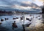 Søerne i København er et af byens mest yndede rekreative områder. Arkivfoto 