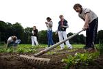 Børns i Aarstidernes skolehaver klarer sig uden pesticider og får en god høst. Det bør alle haveejere gøre, mener Danmarks Naturfredningsforening. 