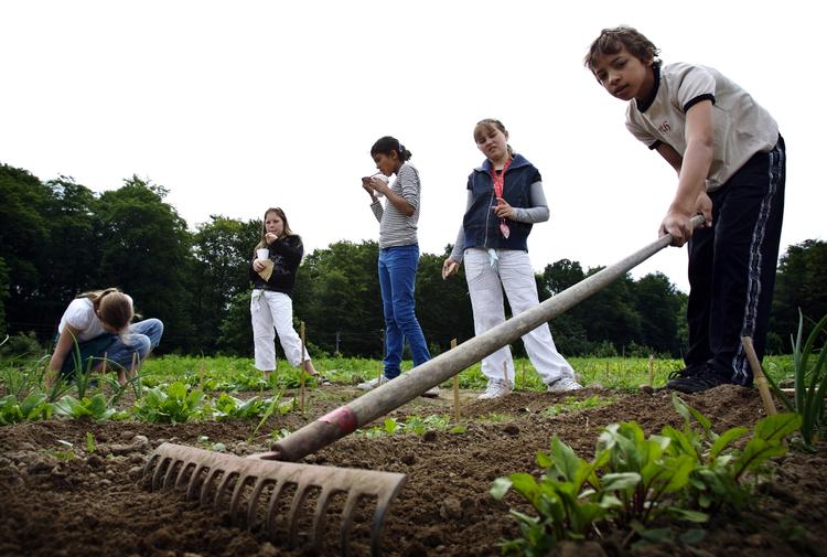 Børns i Aarstidernes skolehaver klarer sig uden pesticider og får en god høst. Det bør alle haveejere gøre, mener Danmarks Naturfredningsforening. 