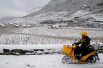 Posten skal ud, også når der er faldet lidt sne i Schweiz. Skiturister gør også klogt i at tjekke bilens dæk inden rejsen. 