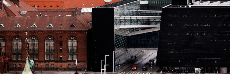 Der er i øjeblikket krads kritik af de bibliometriske forskningsindikatorer, der fra 2010 bliver bestemmende for tildelingen af forskningsmidler. Men det klassiske peer review er ifølge dagens analyse langt fra uproblematisk. Foto: Thomas Borberg 