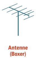 antennne_boxer