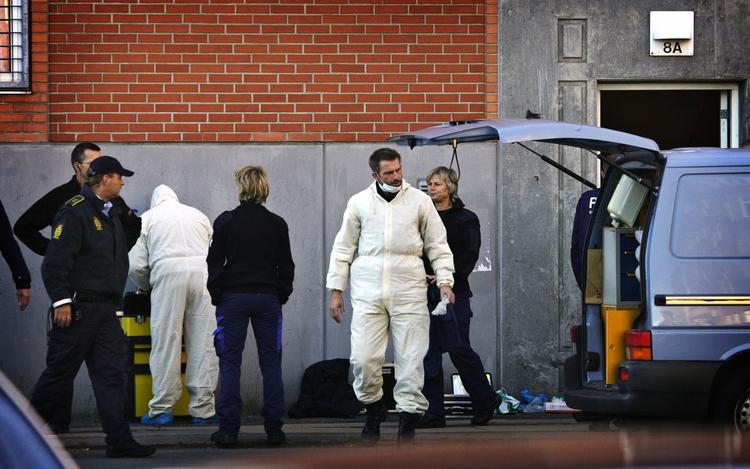 Terror. Den røde tråd i bogen er, »at terrortruslen mod Danmark hele tiden ulmer«. 