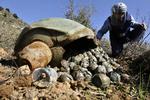 Several Danish councils invest in questionable companies - one in a company that produces cluster bombs according to a report. Archive. 
