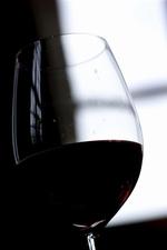 Vinsmagning