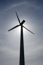 Vestas på Langeland
