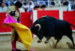 Den spanske tyrefægter Jose Tomas i dyst med en tyr i Barcelons tyrefægterarena. 