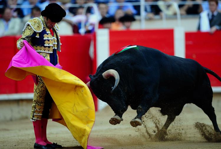 Den spanske tyrefægter Jose Tomas i dyst med en tyr i Barcelons tyrefægterarena. 