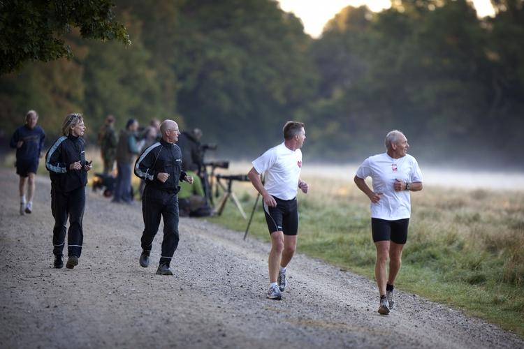 Løbetur med indlagt underholdning i form af kronhjorte i brunst. 