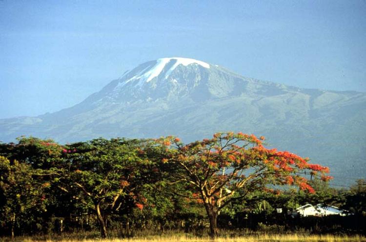 Smelter. Ifølge en ny amerikansk undersøgelse kan sneen på Afrikas højeste bjerg Kilimanjaro helt være forsvundet om tyve år. (arkivfoto) 