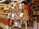 bagparring_06-11-2009_TR8B66Q.jpg