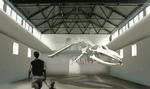 kul_museeum_06-11-2009_GV8B6BE.jpg