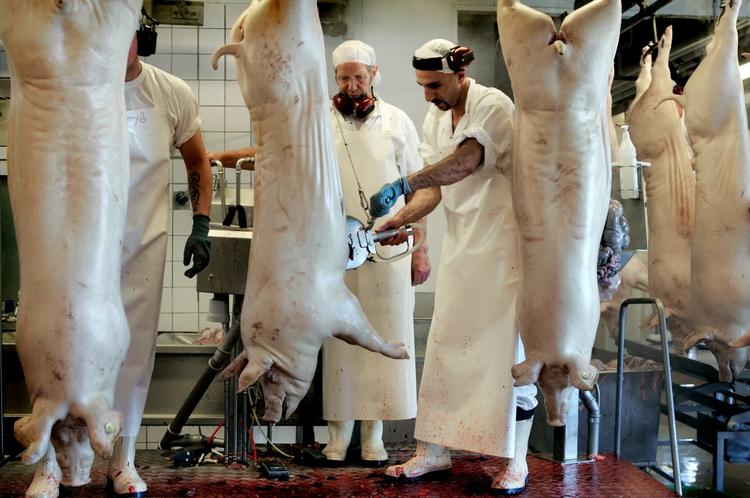 Efter frygt for forgiftning skal irsk svinekød nu fjernes fra hylderne. 