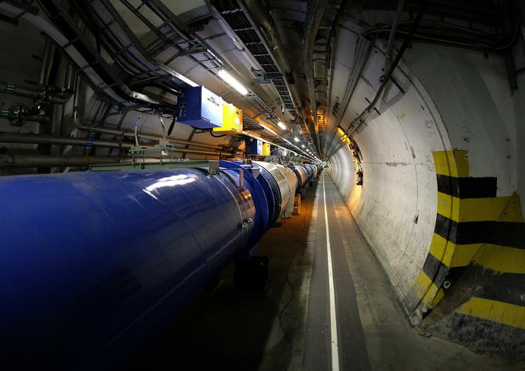 PARTIKELACCELERATOR. Rørene under det europæiske forskningsinstitut CERN blev sat ud af drift af en fugl med dårlige bordmanerer. 