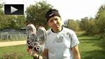 webtv__Chris__L_bes_380461a