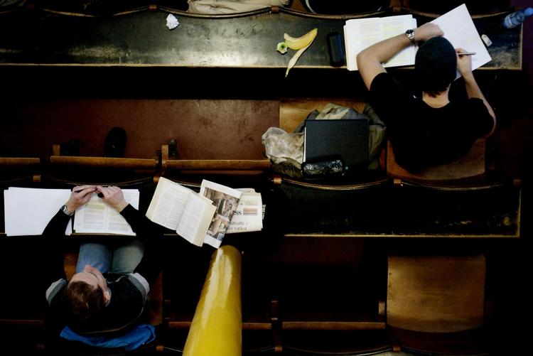 Usikkerhed. Flere forskere mener, at de ikke har det sproglige overskud, hvis de studerende beder om at få forklaret tingene på en anden måde - på engelsk. 