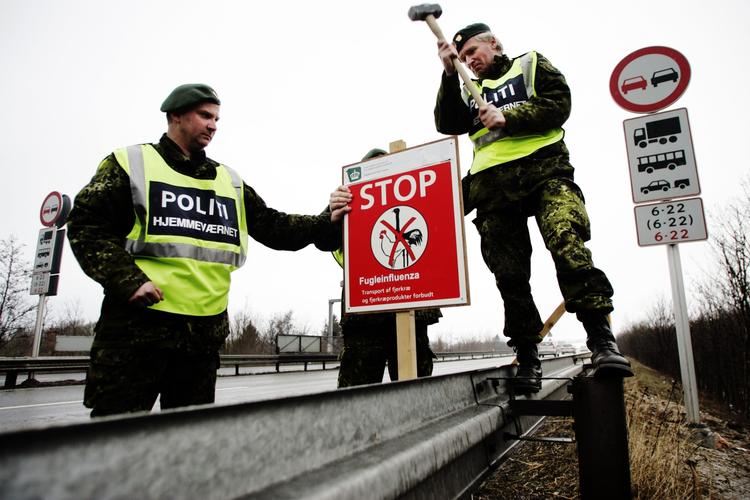 Sikkerhedszone. Da Danmark i 2006  fik sit første tilfælde af fugleinfluenza - hos en musvåge - satte hjemmeværnsfolk advarselsskilte op på Svinø strand nær Næstved. (arkivfoto) 