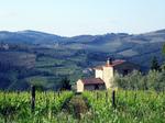 Druerne til den mest kendte Chianti, Classico, dyrkes i Toscana på et område, som er cirka ti gange så stort som den mindre kendte Chianti Rùfinas areal. Arkivfoto: AP 