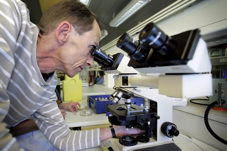 Forskning. Medlemmer af forskningsrådssystemet, der selv søger om midler til forskningsprojekter, har en væsentlig højere succesrate end ansøgere uden for systemet. 
