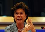 Den hollandske kommissær for konkurrence, Neelie Kroes, fortsætter i Barrosos nye kommission. Hun bliver den niende kvinde i kommissionen. 