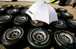 Dæk til Formel 1-racerbiler vil ikke skulle leve op til den nye EU-energimærkning, men fra 2012 skal bildæk kunne vælges med miljøvenlige briller på. 
