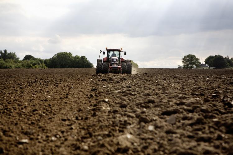 Brakmarker. Europa-Kommissionen mener, at Danmark har fået minimum 280 millioner kroner for meget i landbrugsstøtte og kræver nu pengene tilbagebetalt. 