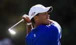 forulykket. Tiger Woods ses her under en golfturnering i Melbourne, Australien, 13. november. Arkivfoto. 