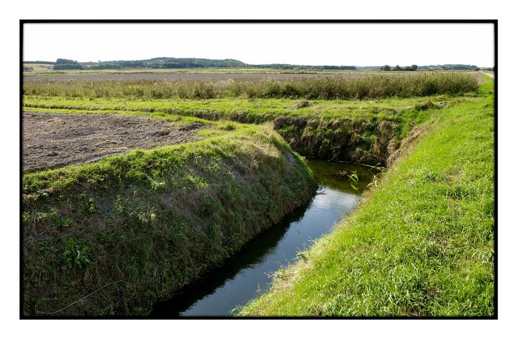 Genopretning. Kolindsund på Djursland, der i dag er opdæmmet i kanaler, kan være på vej tilbage i sin oprindelige form som sø. 
