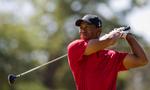 AFBUD. Tiger Woods har meddelt, at han ikke kan deltage i de kommende dages turnering i Californien. Arkivfoto. 