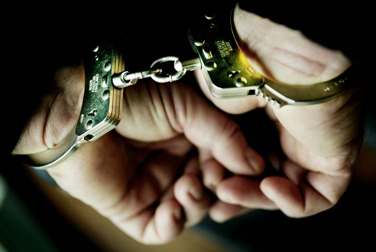 Fældet. Flere kendte danskere er blevet anholdt, sigtet og for fleres vedkommende også dømt for grove lovovertrædelser det forgangne år. 