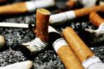 SKOD. Organisationen Hold Danmark Rent vil nu lave en særlig indsats mod de mange cigaretskodder, danskerne smider rund omkring. 