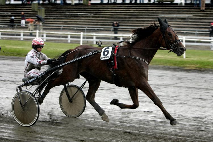 bedst. Fra sin position bag Lokal Conch vurderer Flemming Jensen, at der er tale om Danmarks bedste hest. Arkivfoto. 