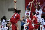 Håndbold-VM: Danmark-Frankrig