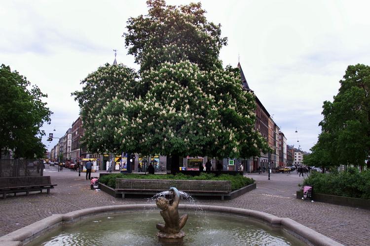 På Enghave Plads må man ikke bygge metrostationer, for her er der mange mennesker, der leger, sidder og glor eller drikker sig fulde. 