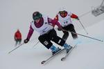 Ski cross