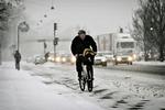 Hvidt. Snevejr skaber kaos i trafikken over hele landet. Der er dog ryddet sne på cykelstierne så cyklisterne kan komme frem. 