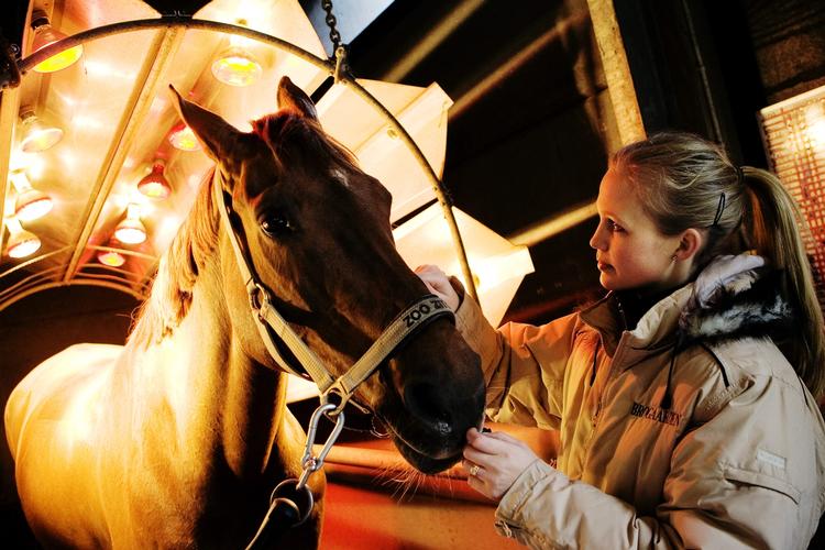 Rideidol. Eliterytteren Tina Lund er især blevet kendt efter sin medvirken i 'Vild med dans', hvor hun blev nummer to. Arkivfoto. 