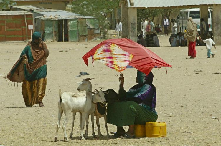 Samvittighed. SAS vil lokke sine kunder til at købe aflad i form af CO2-afgifter. Folkekirkens Nødhjælp vil sælge en ged eller en ø. Læger uden Grænser vil bare redde liv uden nærmere oplysninger. Der er mange tilbud i julemåneden. 