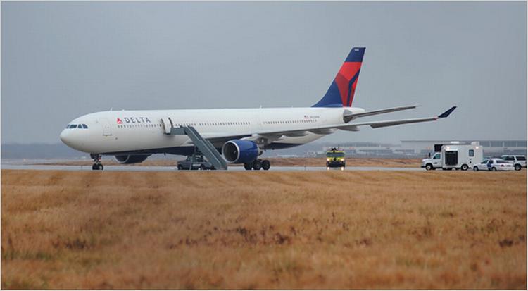 Der var 278 passagerer om bord på Arbud 330-flyet fra Amsterdam til Detroit. 