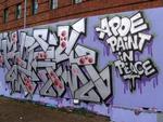apoe