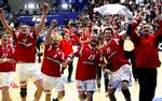 Triumf. EM-titlen i 2008 kom i hus efter en sejr på 24-20 over Kroatien. 